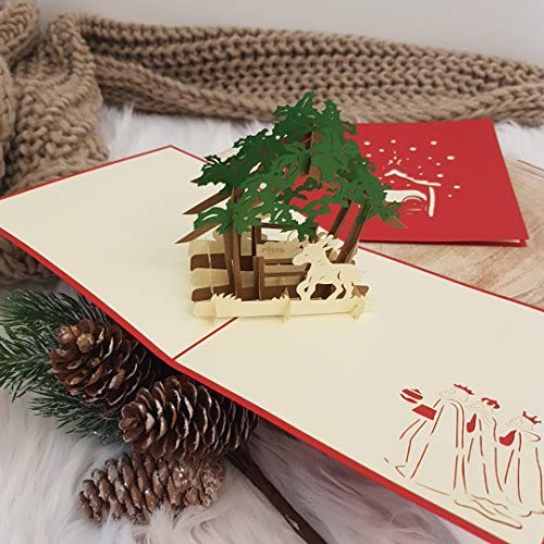 Weihnachtskarte mit Umschlag, Krippe, Gutschein - 5